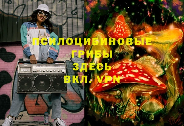 не бодяженный Алексин