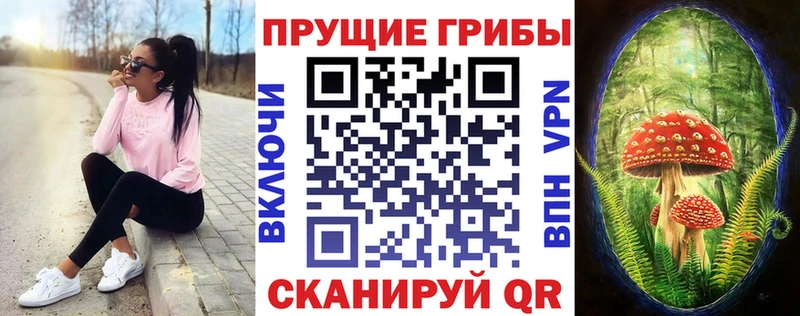 Галлюциногенные грибы прущие грибы  blacksprut как войти  Вилюйск 